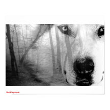 Wolf en el Poster forestal DarkSpectrum original