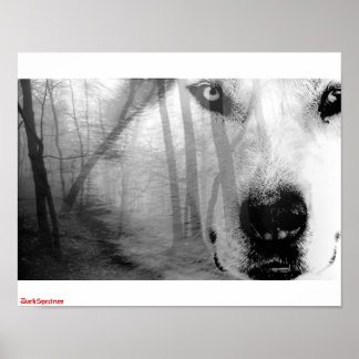 Póster Wolf en el Poster forestal DarkSpectrum original