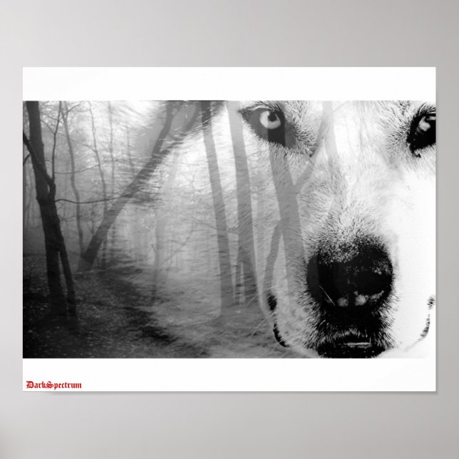 Póster Wolf en el Poster forestal DarkSpectrum original (Frente)
