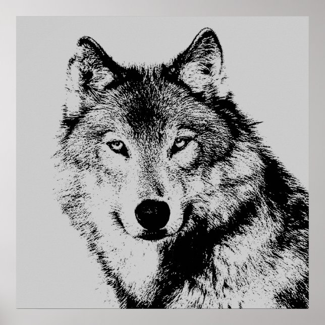 Póster Wolf Eyes Poster (Frente)