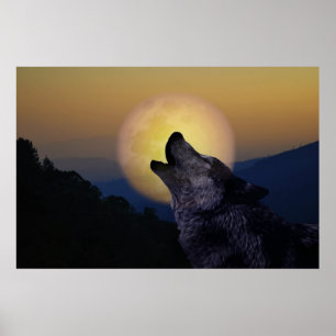Póster Wolf gritando en la luna