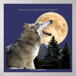 Póster WOLF HOWL & MOON Art Poster