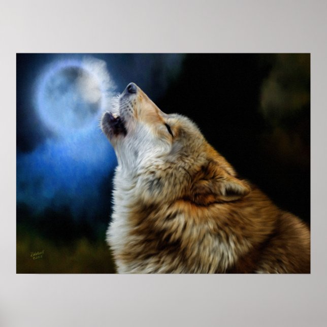Póster Wolf Howling Debajo de la Luna Llena (Frente)