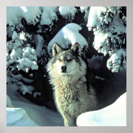 Póster Wolf In The Snow