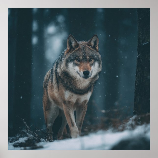 Póster Wolf in Winter (Frente)