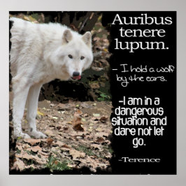 PÓSTER WOLF LATIN QUOTE TERRENCE