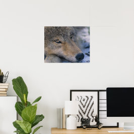 Póster Wolf Lovers Art