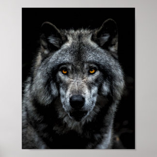 Póster Wolf Naranja Ojos Naturaleza animal salvaje