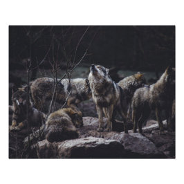 Póster Wolf Pack