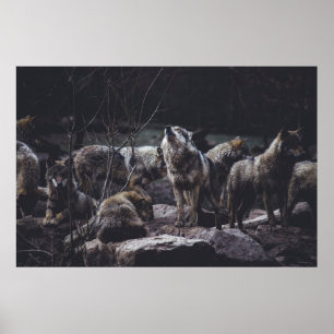 PÓSTER WOLF PACK ON ROCK FORMATION