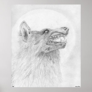 Póster Wolf Poster