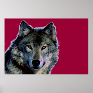 Póster Wolf Poster