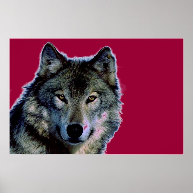 Póster Wolf Poster (Frente)