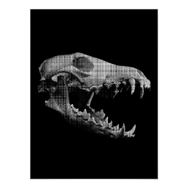 Póster Wolf skull (Anverso)