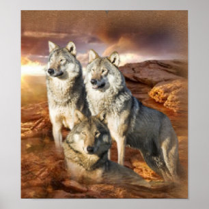 Póster Wolf Trio poster