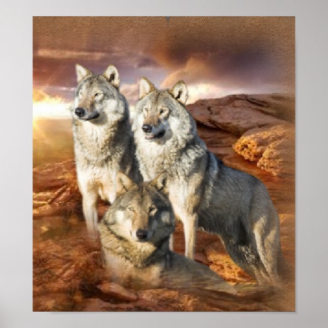 Póster Wolf Trio poster (Frente)