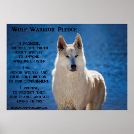 Póster Wolf Warrior