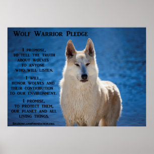 Póster Wolf Warrior