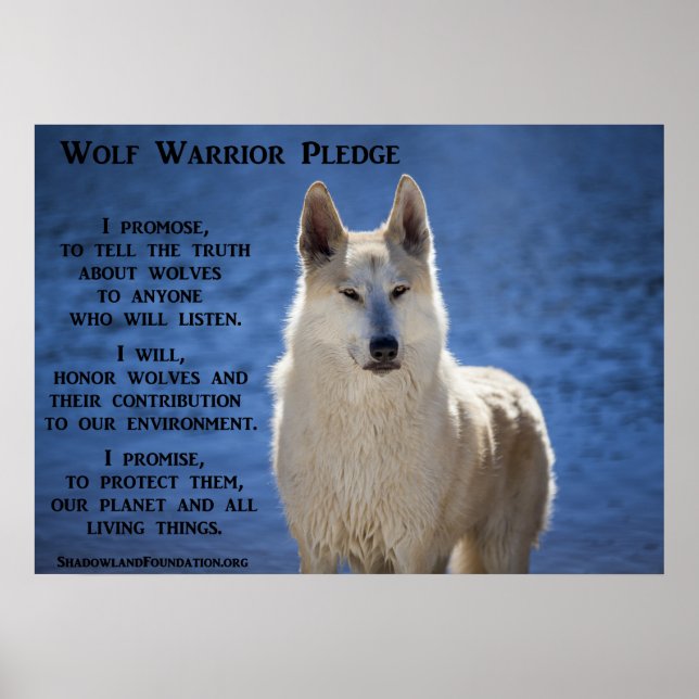 Póster Wolf Warrior (Frente)