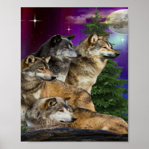 Póster Wolf y Moon