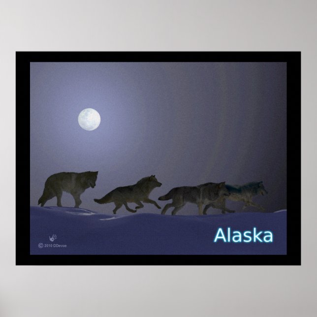 Póster Wolfpack (Frente)