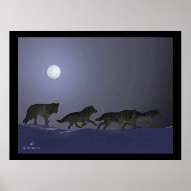Póster Wolfpack (Frente)
