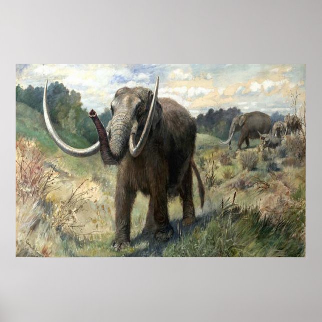 Póster Wolly Mammoth (Frente)