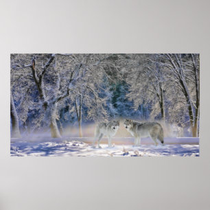 Póster Wolves Of Yellowstone