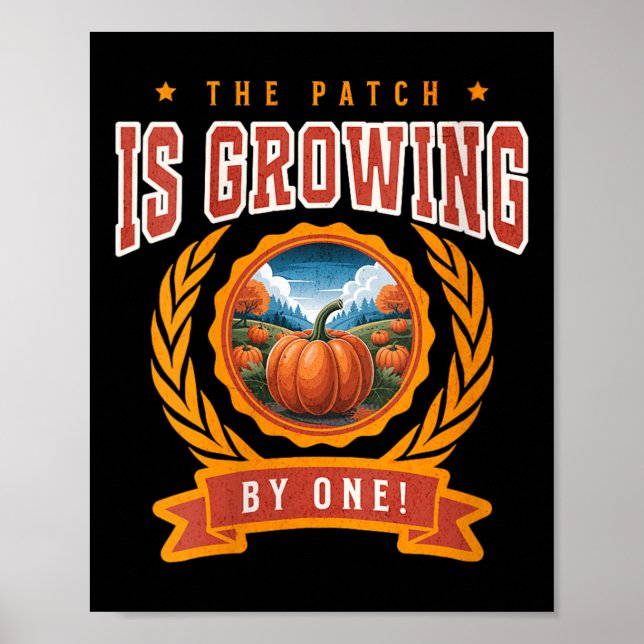 Póster Womens Pumpkin Pregnancy Annnouncement Baby Reveal (Frente)