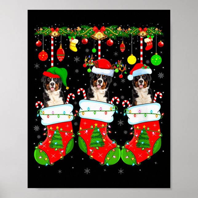 Póster Womens Saint Bernard Dog In Christmas Socks Funny  (Frente)