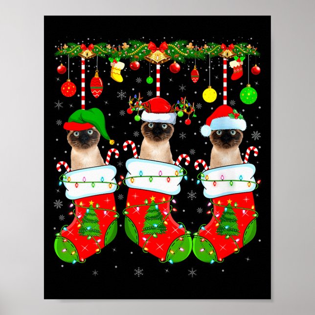 Póster Womens Siamese Cats In Christmas Socks Funny Cat X (Frente)