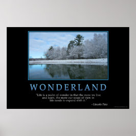 Póster Wonderland