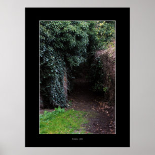 Póster WONDERLAND Poster