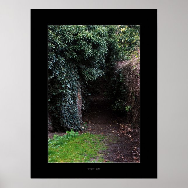 Póster WONDERLAND Poster (Frente)