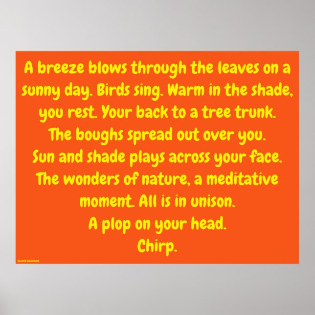 Póster "Wonders Of Nature", humor, meditation (Frente)
