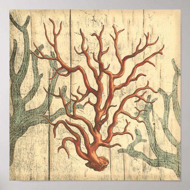 Póster Wood and Small Coral (Frente)