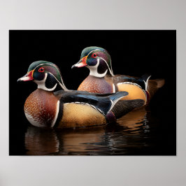 Póster Wood Ducks