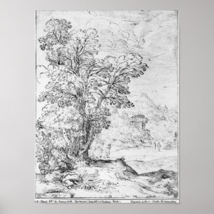 Póster Wooded landscape