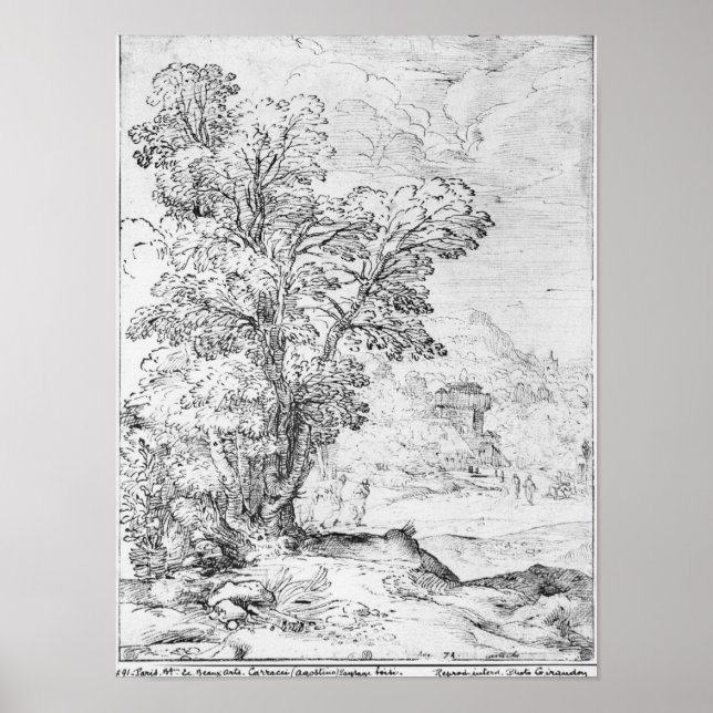 Póster Wooded landscape (Frente)