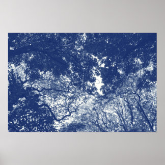 Póster Woodland Canopy 02 - Efecto del cianotipo