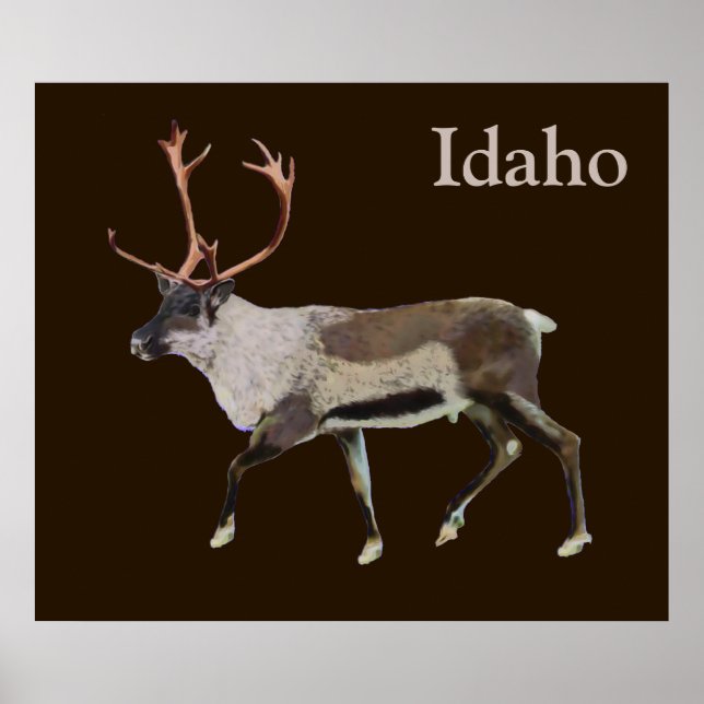 Póster Woodland Caribou (Frente)