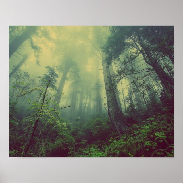 Póster Woodland desde abajo (Frente)