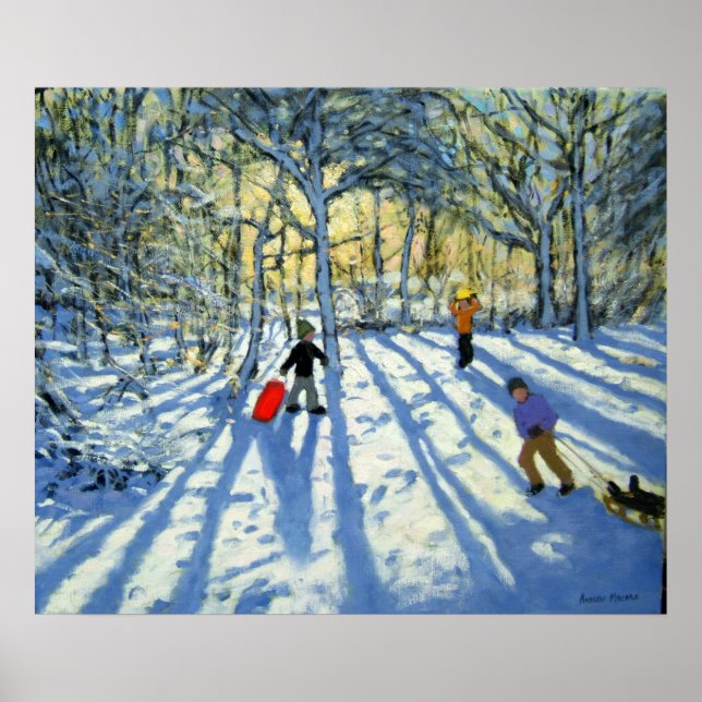 Póster Woodland en invierno cerca de Ashbourne Derbyshire (Frente)
