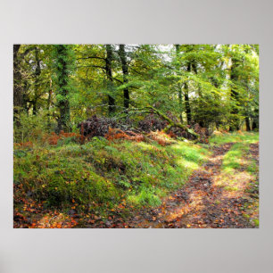 Póster Woodland en octubre