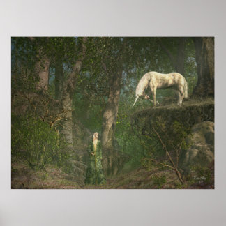 Póster Woodland Encounter