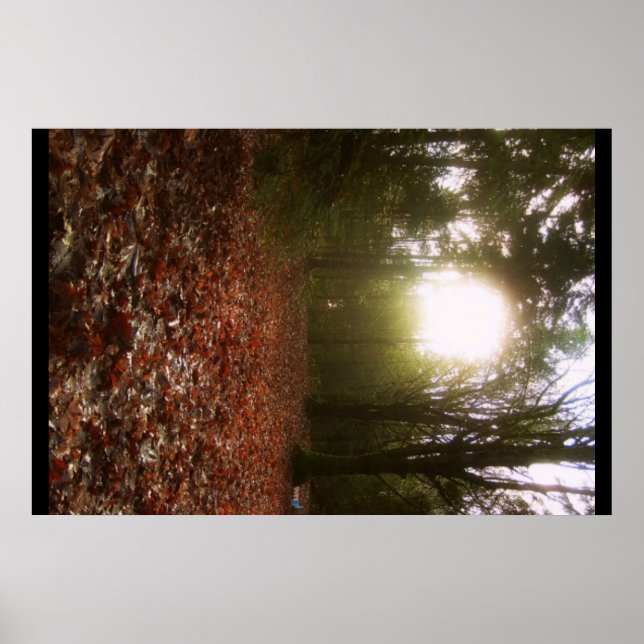 Póster Woodland inferior (Frente)