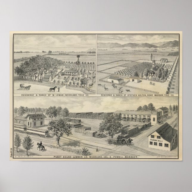 Póster Woodland lumber Company (Frente)