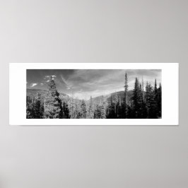 Póster Woodland Panoramic Black and White Photography