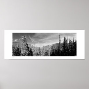 Póster Woodland Panoramic Black and White Photography