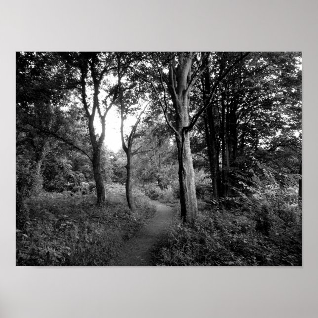 Póster Woods Bute Park, Cardiff (Frente)